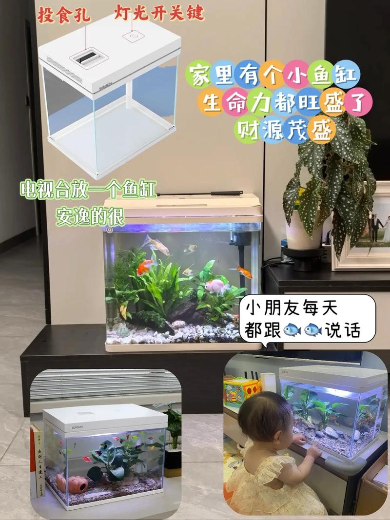 一方碧水間的自然盛宴 森森超白玻璃草缸生態魚缸的格調與魅力